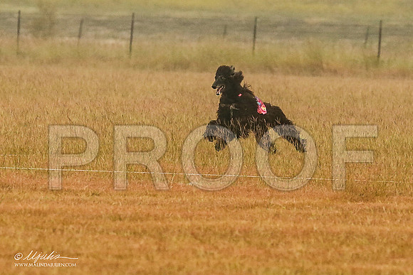 _MJ_2825-AfgBeltonOct2014-HR3