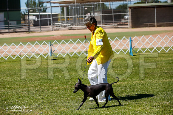 _JJ_8071-AlamogordoOct2014-HR3