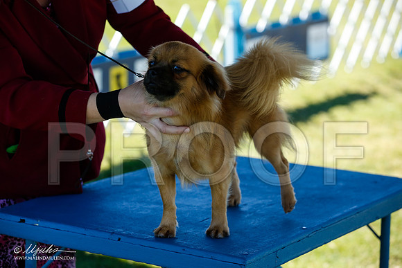 _JN_4957-AlamogordoOct2014-HR3