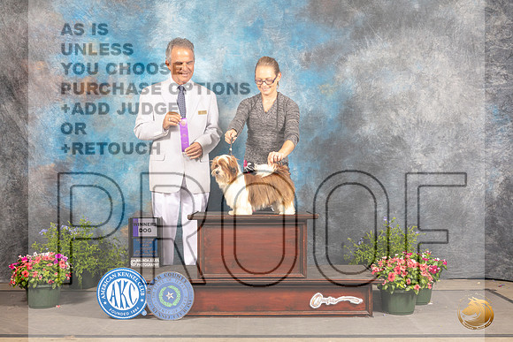Havanese #19 Fri WD Judge George Milutinovich_MJ_0021_SA_2022_HR3