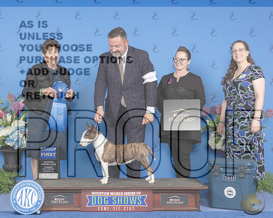 Miniature Bull Terrier Colored #6 THUR G1 Judge Ann Yuhasz_JP_8399-NRKC2025-HR3