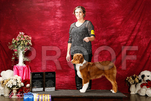 _ST_3005-2-BeltonJan2015IABCA-HR3
