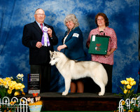 #45 Sun RWD Kendra Ireton & Wolf Warren  Judge Dr Donald Gill