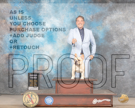 French Bulldog #23 Sun G3 Judge Jim FehringMMJ_5698_Mdlnd2022_HR3