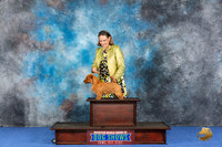 CUSTOM Norfolk Terrier WED