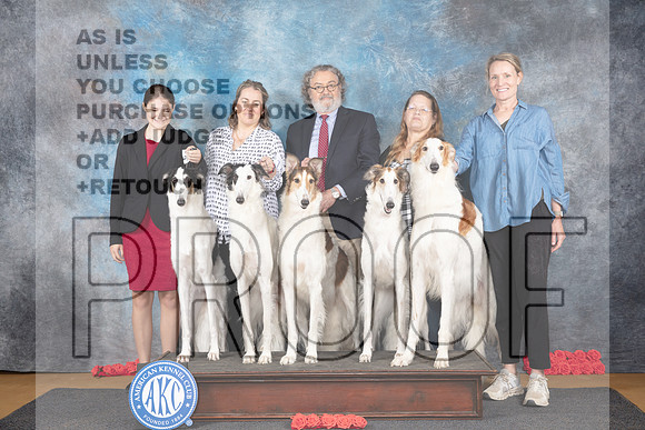 Borzoi Family Photo Sat__JP_0024_Sulphur Springs_2024_HR3