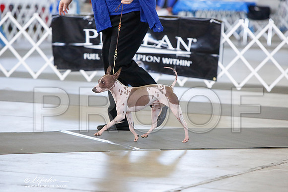 _JJ_7503-DallasJul2014-HR3