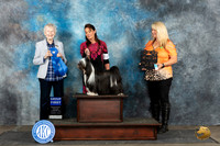 Tibetan Terrier #6 Sat G1 Judge Sharon Newcomb