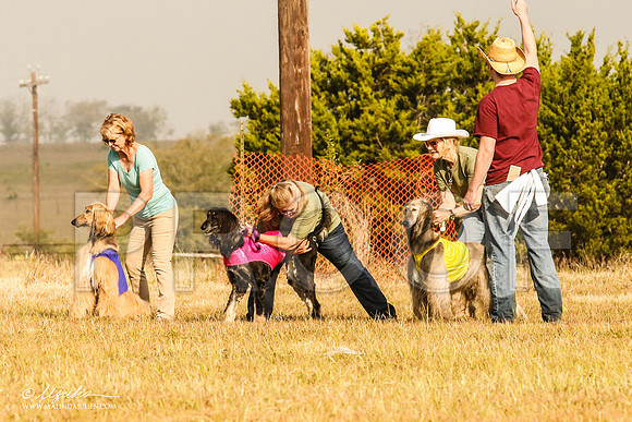 _MJ_3901-AfgBeltonOct2014-HR3