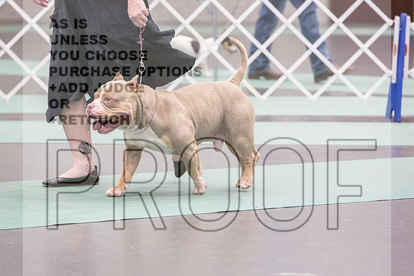 Bully Rings Fri Ring 1_JJL_6882_UKCLNGVIEWOCT2024_2024_HR3