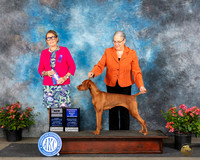 Beth Kirven San Antonio 2024