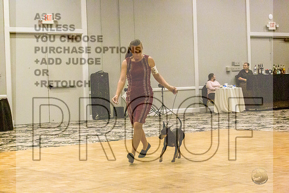 Manchester Terrier MTOY Candids-JJL_2152-Hstn2022_HR3