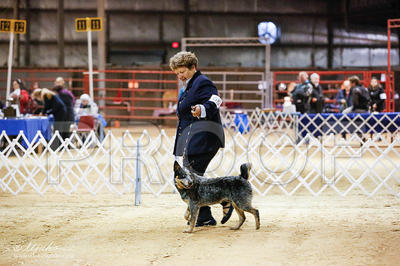_JN_4395-2-GlenRoseJan2015-HR3