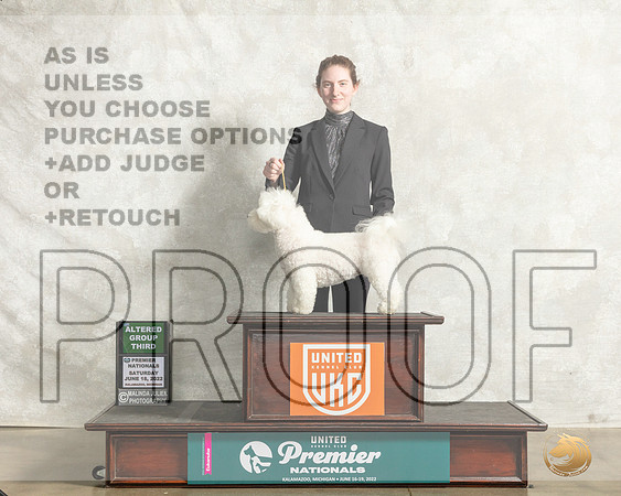 Bichon Frise #826 Sat AG3 Judge Karen Hynek__MJ_8581_Premier_2022_HR3