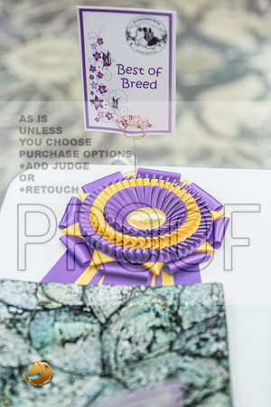 *Candids Papillon FriJJL_3597_HstnTOY_2022_HR3