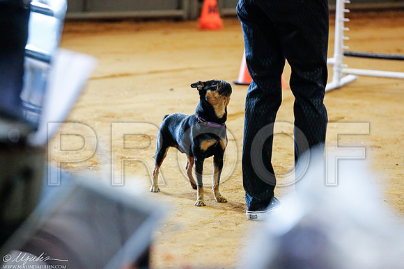 _RH_9626-MarshDec2014-HR