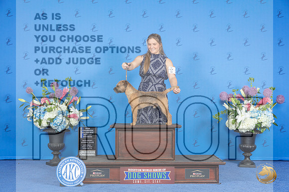 Border Terrier #23 SAT WD BOW NC M Judge Ann Yuhasz__JP_0013_Houston_2024_HR3