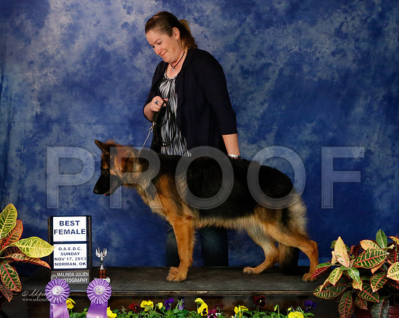GSD-9363-NormNov13-HR