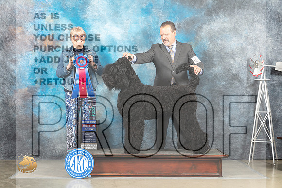 Black Russian Terrier #5 Sun RBIS Judge Debra Thornton_MJ_5223_Amarillo_2022_HR3