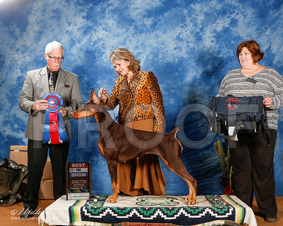 _ST_1215-2-GlenRoseJan2015-HR3