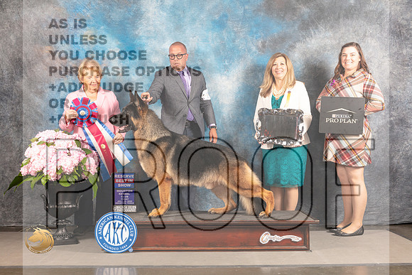 German Shepherd Dog #29 FRI RBIS Judge Polly Smith_MJ_6080_Houston_2022_HR3