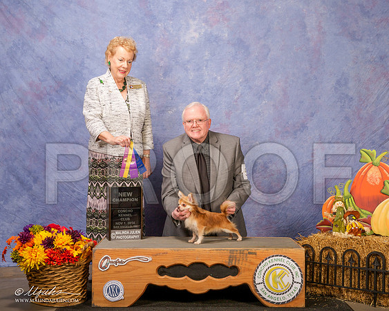 _CL_4476 - Version 2-SanAngelo2014-HR3