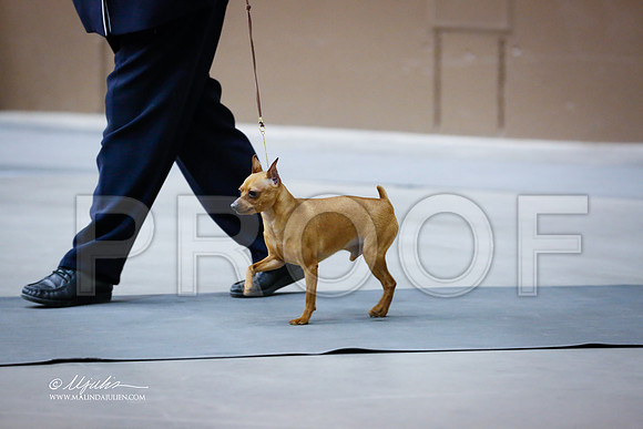 MinPin-2978-SANov13-HR