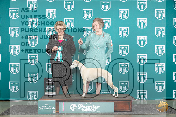 Whippet #135 Thurs T10AOE Judge Deborah Allen__JP_0835_Premier_2024_HR3