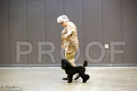_J3L0179-BeltSep2014-HR