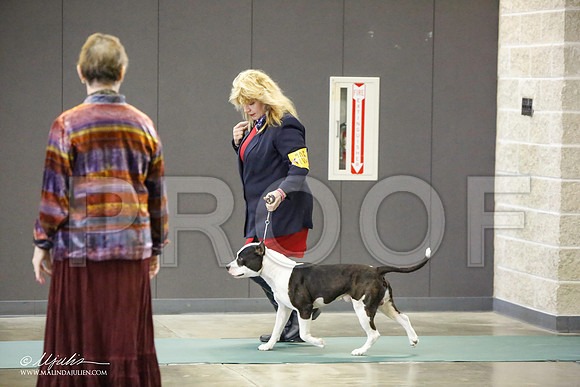 _LH_3485-BeltonJan2015-HR3