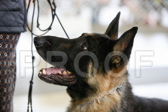 _JJ_3111-DallasJul2014-HR3