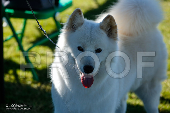 _JN_5238-AlamogordoOct2014-HR3