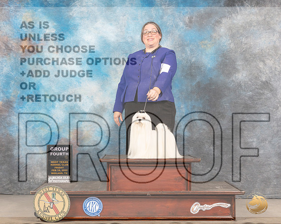 Maltese #7 Sun G3 Judge Jim FehringMMJ_5736_Mdlnd2022_HR3