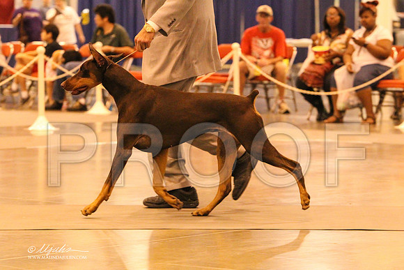 Dobe-8917 PROOF