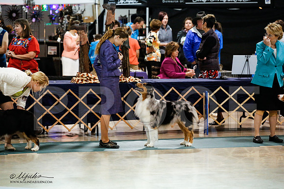 _JN_5670-ASCACollegeStationNov2014-HR3