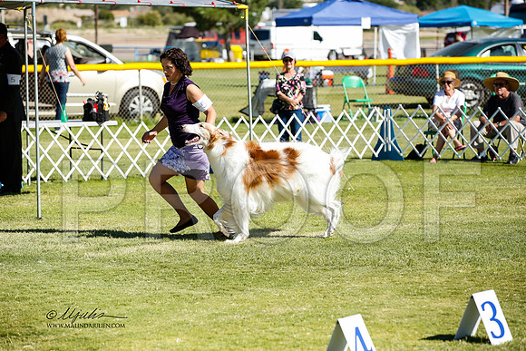 _JN_1511-AlamogordoOct2014-HR3