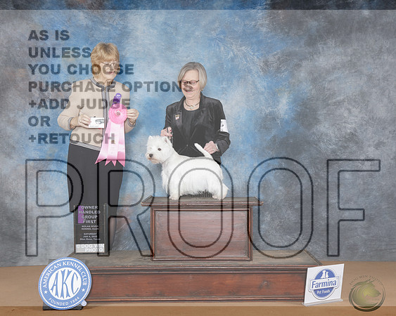 West Highland White Terrier #6 Sat OHG2 Judge JaneWest Highland White Terrier #6 Sat OHG2 Judge Jane_WP_0093e-NRKC2025-HR3