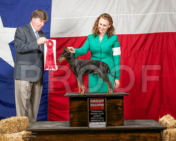 _ST_2078-AmarilloSep2014-HR3