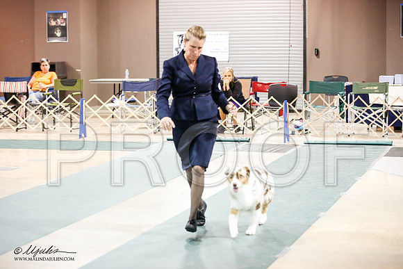 _JJ_3973-ASCACollegeStationNov2014-HR3