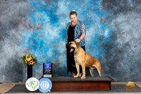 Boerboel #7 Sat BOW Judge Sharol Candace Way