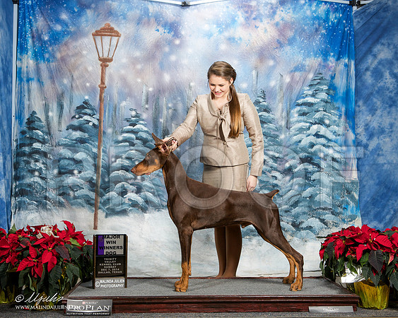 _ST_9106-DallasDec2014-HR3