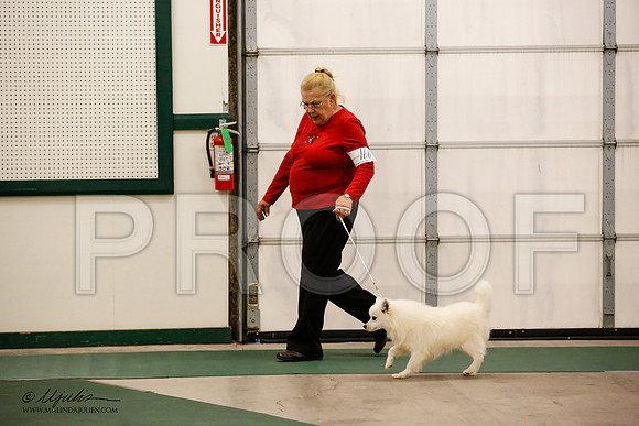 _JN_1143-NrmnNov2014-HR3