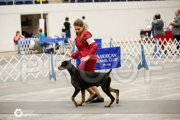 _RH_2163-AblnMay2014-web