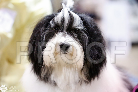 _JJ_2818-SanAntonioJul2014-HR