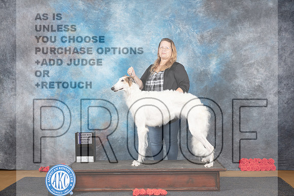 Borzoi #10 Sat RWB Judge Sidney Marx__JP_0009_Sulphur Springs_2024_HR3
