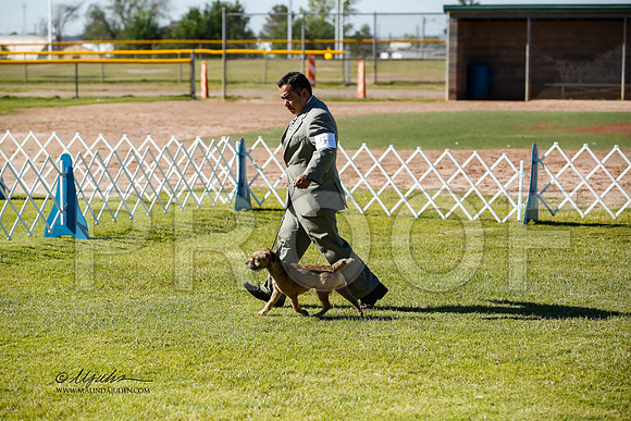 _JN_0473-AlamogordoOct2014-HR3