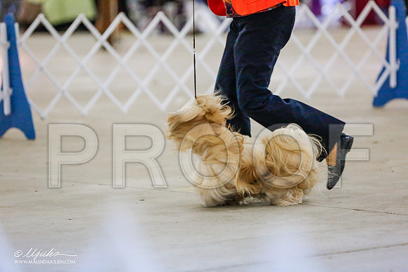 _RH_0731-AlamogordoOct2014-HR3