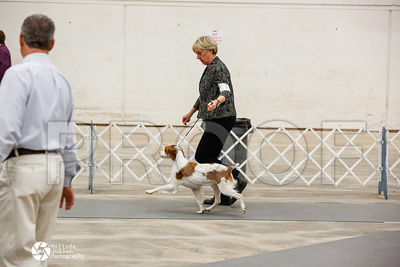 _JN_0143-AblnMay2014-web