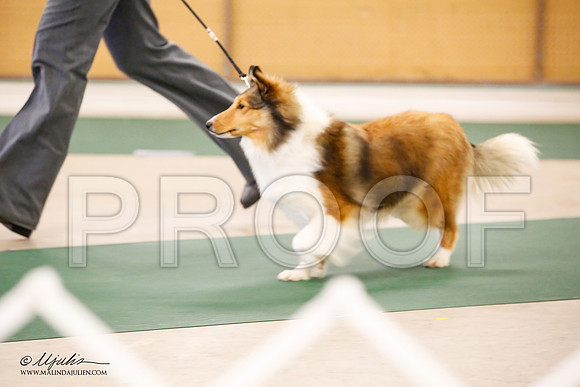 _JN_9779-NrmnNov2014-HR3