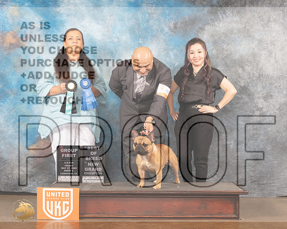 French Bulldog #123 Fri2 BOBG1 Judge Michelle BlackowlMMJ_5411_Lngvw2022HR3